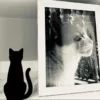 Silueta de gato decorativa para amantes de los gatos