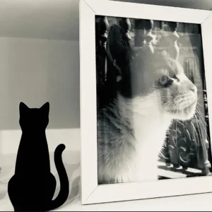 Silueta de gato decorativa para amantes de los gatos