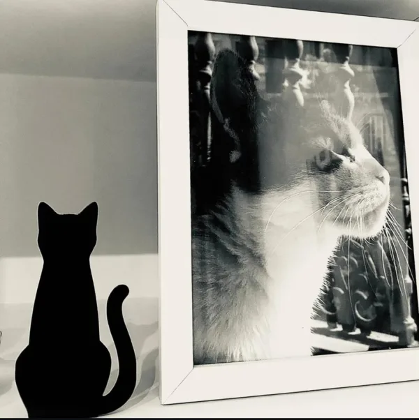 Silueta de gato decorativa para amantes de los gatos